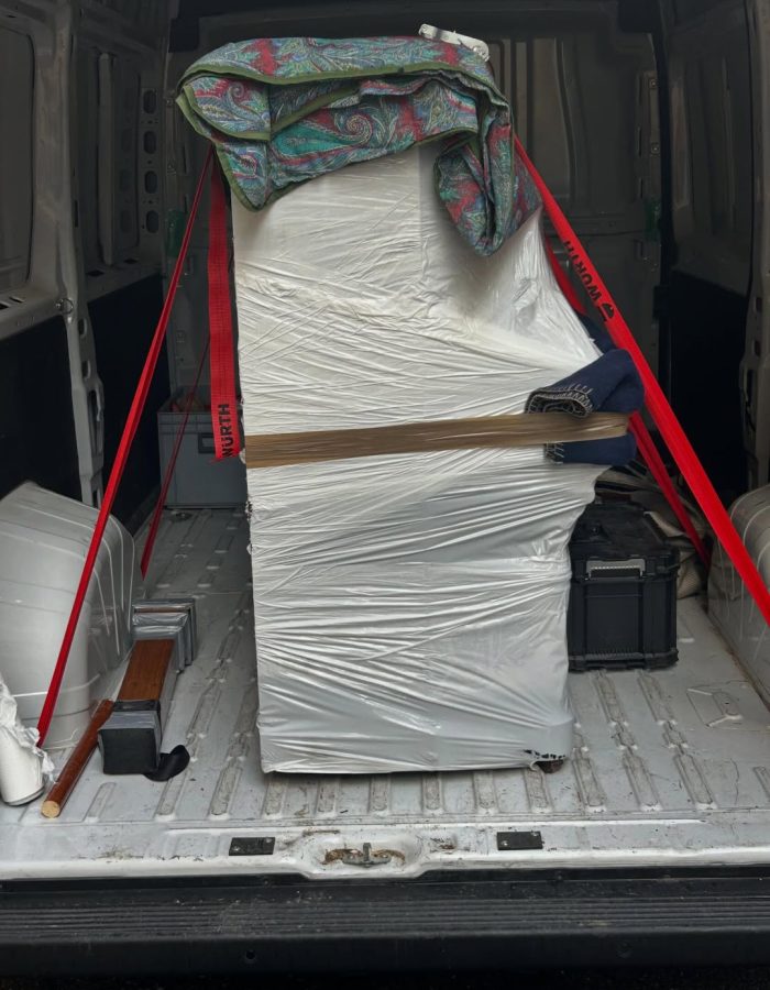 SnapInsta.to_599297702_17861156421551523_6686377468564708332_n